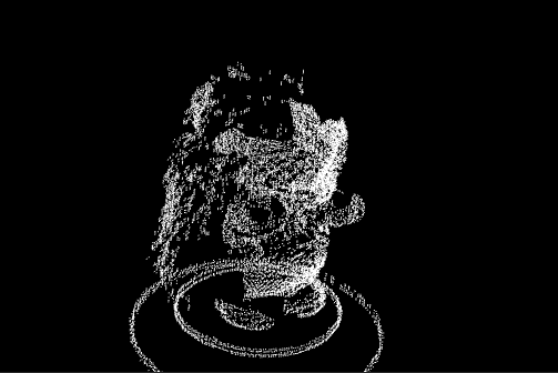 3D point cloud reconstruction of the hedgehog